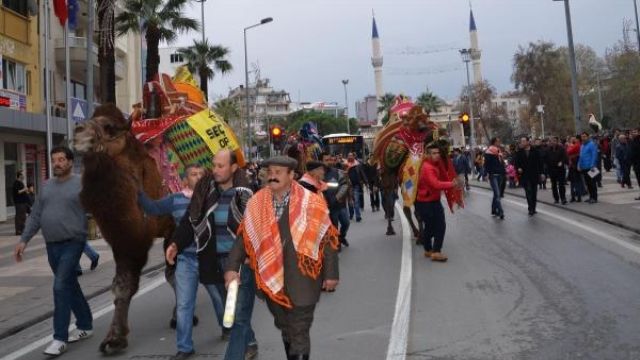 Le Combat de chameaux en Turquie