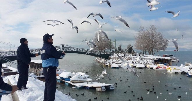 Les Oiseaux d'Istanbul