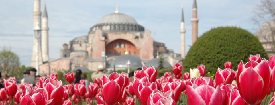 Festival de Tulipes istanbul